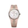 ROLEX LAND-DWELLER 40 OYSTER STEEL EVEROSE GOLD (2025) MODEL