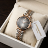 Emporio Arman_i Classic